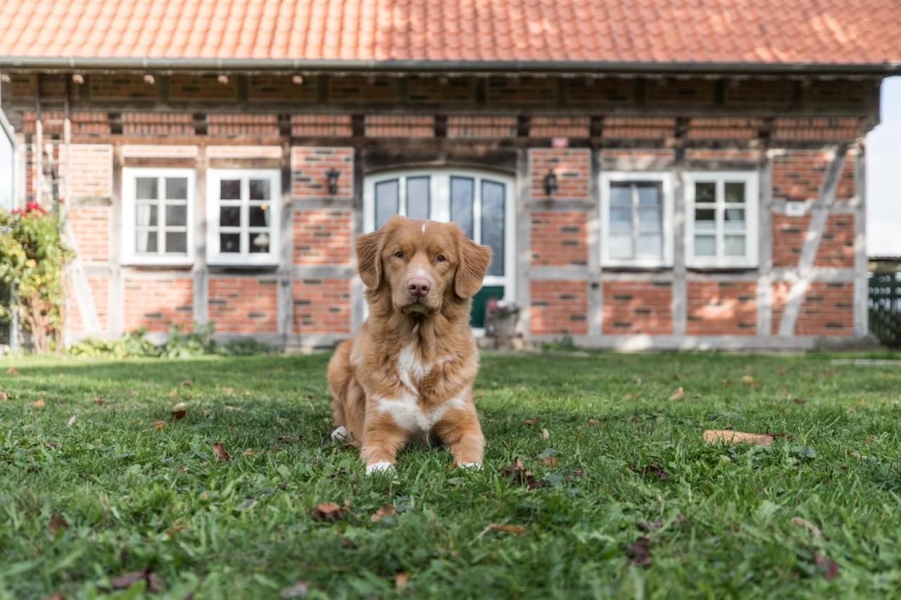 Fachwerk-Ferienhaus, Ruhe Auf Dem Land, Haustiere Willkommen, Leihfahrraeder, 24-7 Check In Kirchlinteln Экстерьер фото